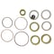 Bedford Precision Parts Bedford Precision Kit, 40:1 Bulldog, Polyurethane for Graco 212-079 20-1269 - alternate 2